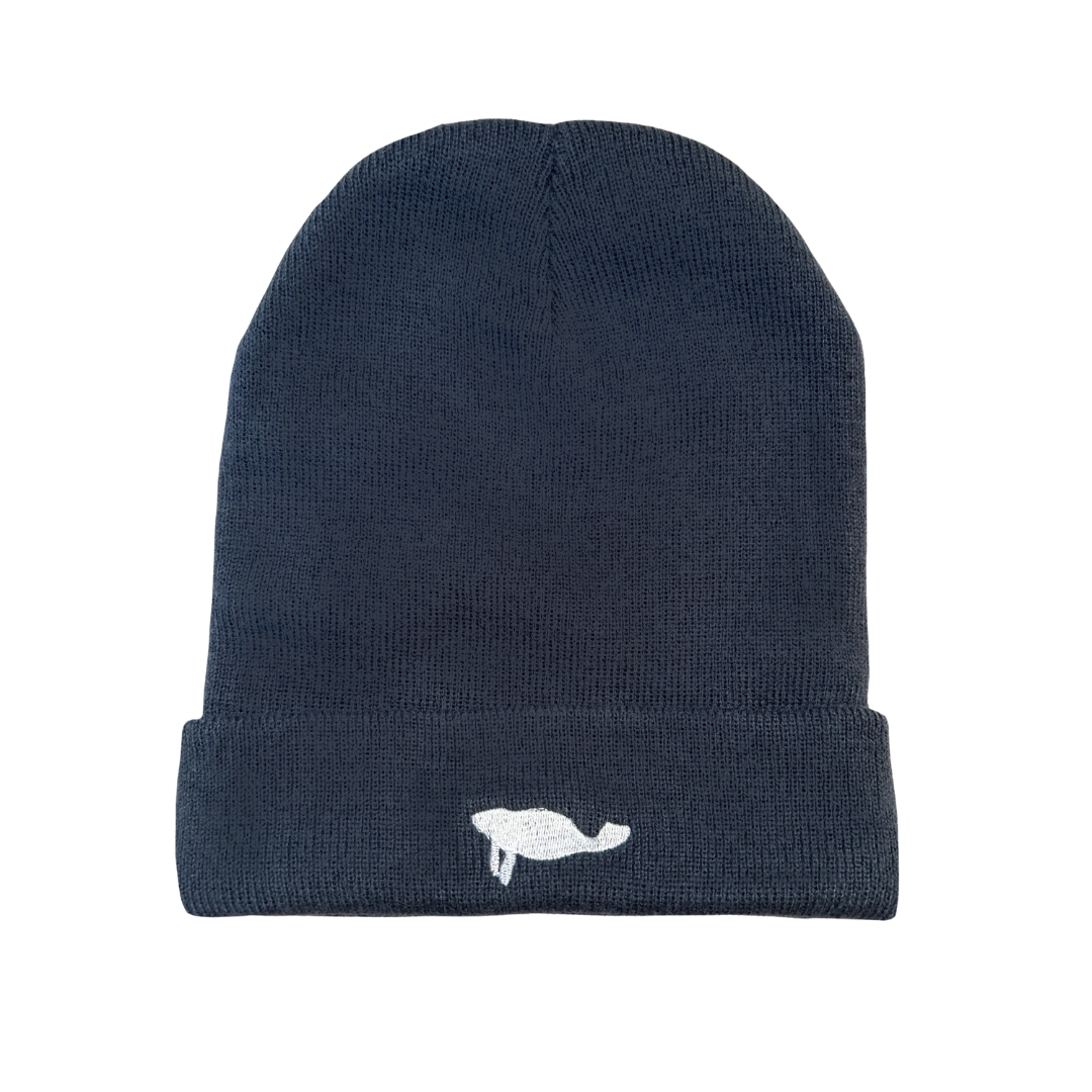 navy logo beanie